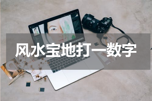 风水宝地打一数字