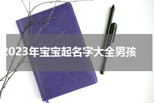 2023年宝宝起名字大全男孩