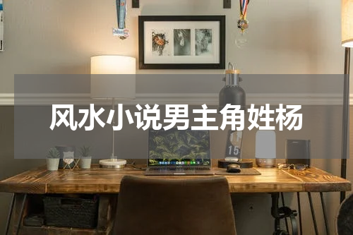 风水小说男主角姓杨