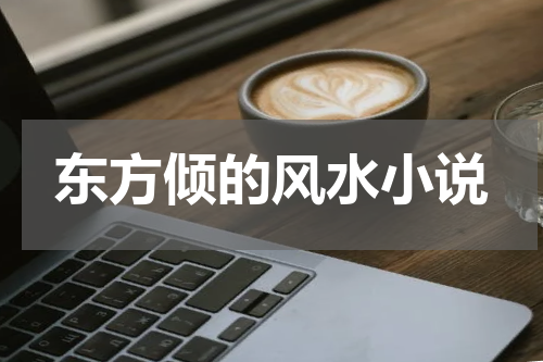 东方倾的风水小说
