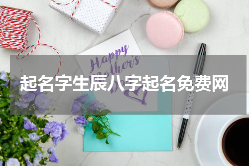 起名字生辰八字起名免费网