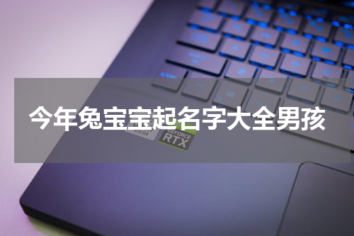 今年兔宝宝起名字大全男孩