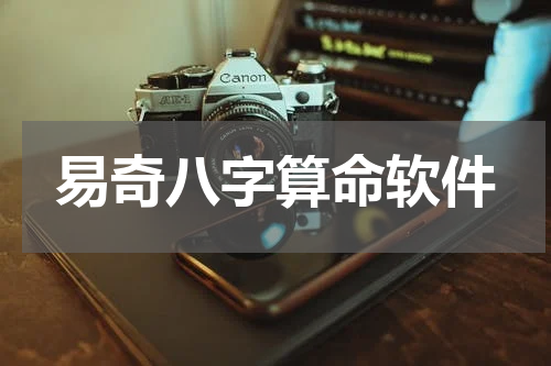 易奇八字算命软件