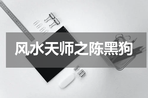 风水天师之陈黑狗