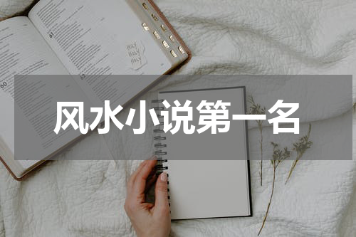 风水小说第一名