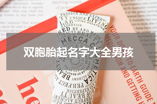 双胞胎起名字大全男孩