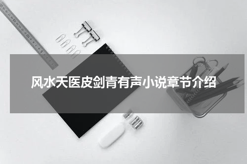 风水天医皮剑青有声小说章节介绍