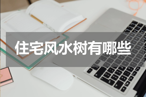 住宅风水树有哪些