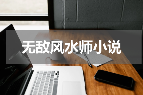 无敌风水师小说
