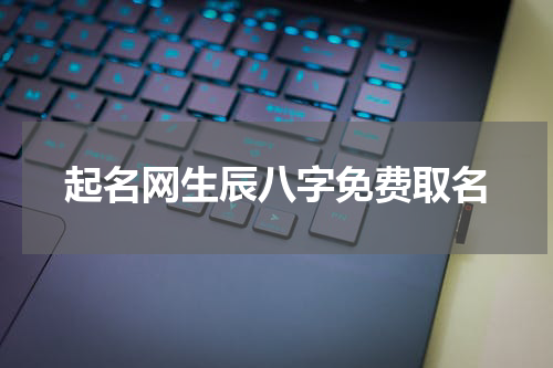 起名网生辰八字免费取名