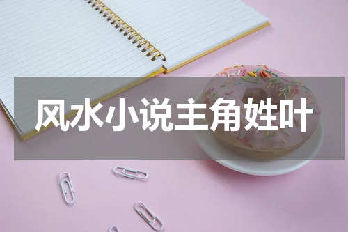 风水小说主角姓叶