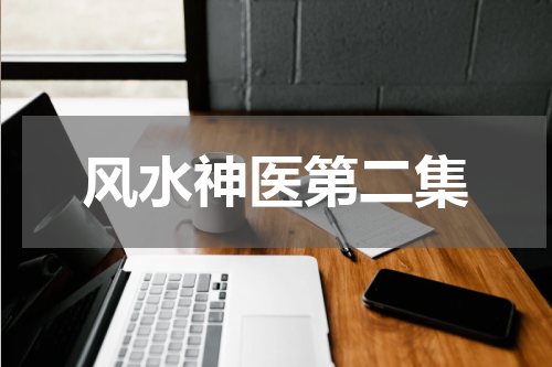 风水神医第二集
