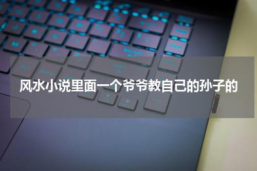 风水小说里面一个爷爷教自己的孙子的