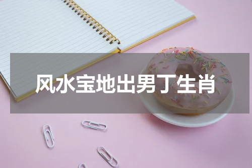 风水宝地出男丁生肖