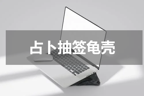 占卜抽签龟壳
