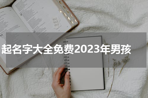 起名字大全免费2023年男孩