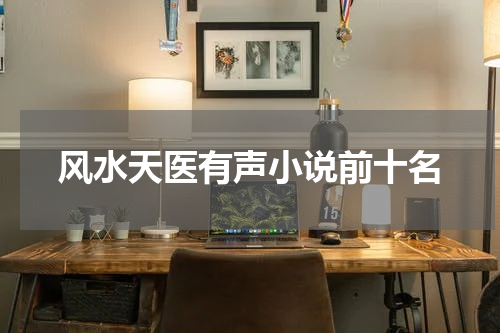 风水天医有声小说前十名