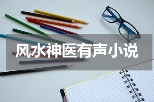 风水神医有声小说