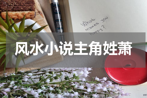 风水小说主角姓萧