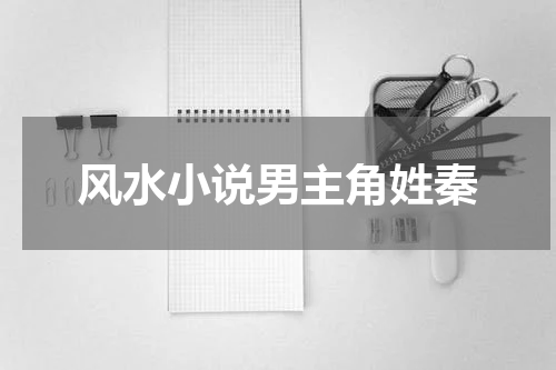 风水小说男主角姓秦