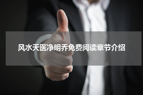 风水天医净明乔免费阅读章节介绍