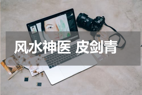 风水神医 皮剑青