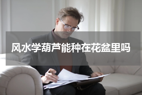 风水学葫芦能种在花盆里吗