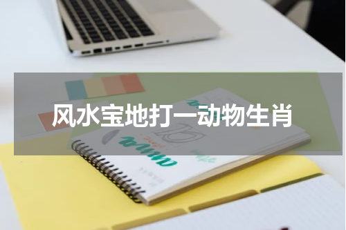 风水宝地打一动物生肖