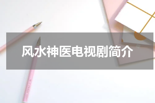 风水神医电视剧简介