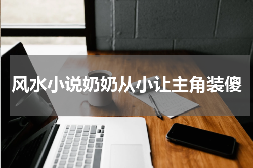 风水小说奶奶从小让主角装傻