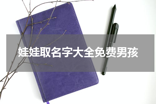 娃娃取名字大全免费男孩