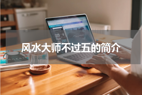 风水大师不过五的简介