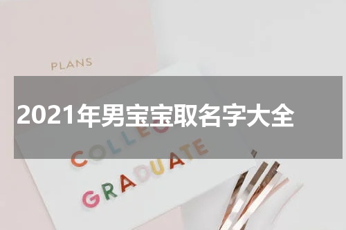 2021年男宝宝取名字大全
