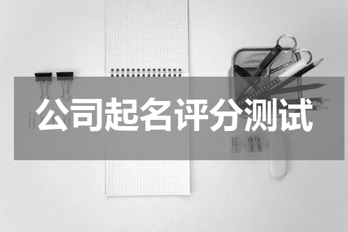公司起名评分测试