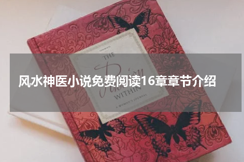 风水神医小说免费阅读16章章节介绍