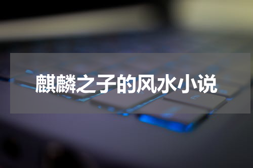 麒麟之子的风水小说