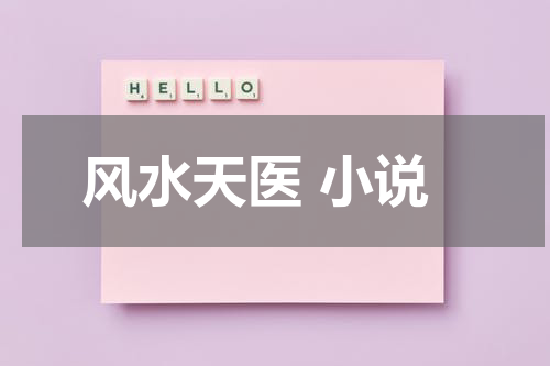 风水天医 小说