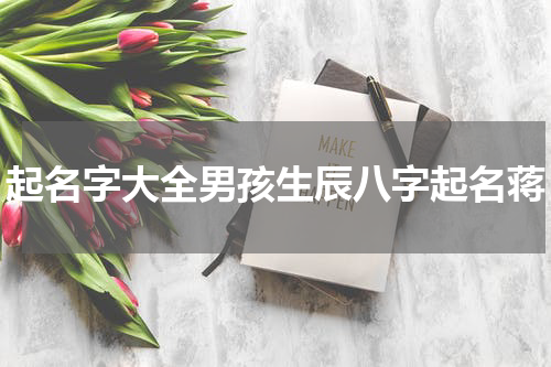 起名字大全男孩生辰八字起名蒋