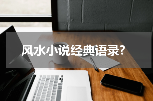风水小说经典语录?