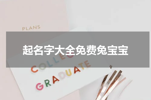 起名字大全免费兔宝宝