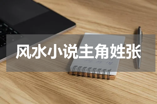 风水小说主角姓张