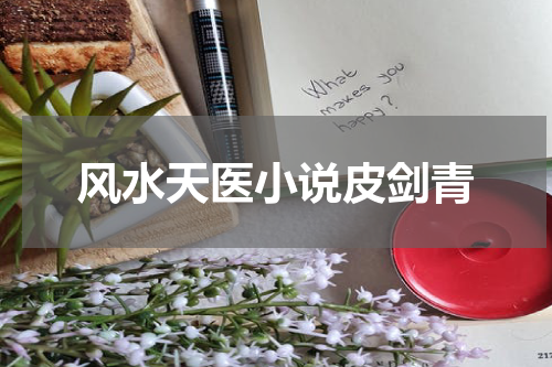 风水天医小说皮剑青