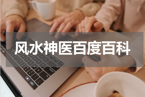 风水神医百度百科