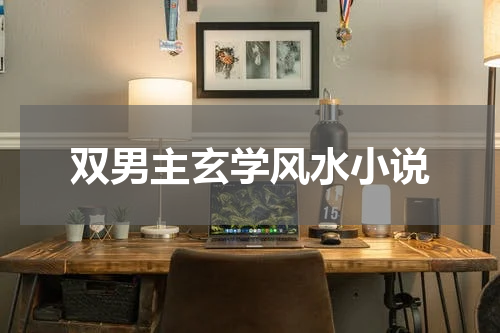 双男主玄学风水小说  有什么好看的灵异类双男主文推荐吗?
