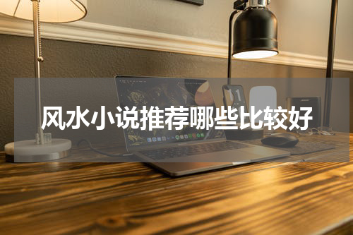 风水小说推荐哪些比较好