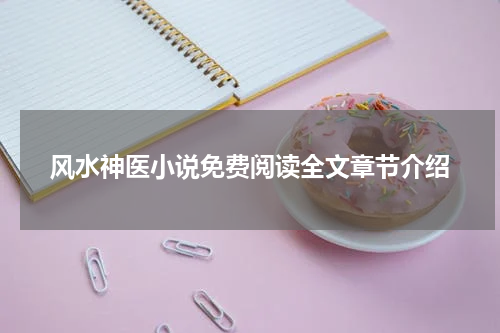风水神医小说免费阅读全文章节介绍