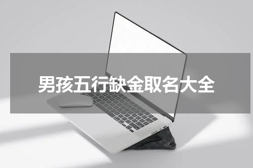 男孩五行缺金取名大全