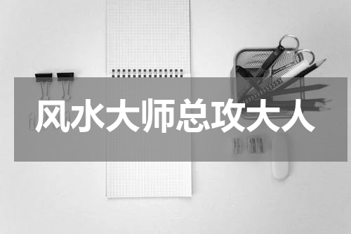 风水大师总攻大人