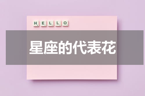 星座的代表花