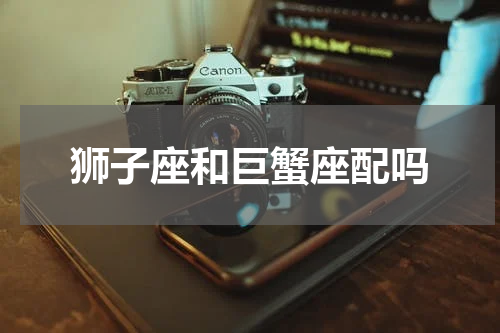 狮子座和巨蟹座配吗
